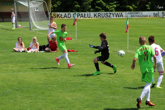 上海女排已 上海女排已