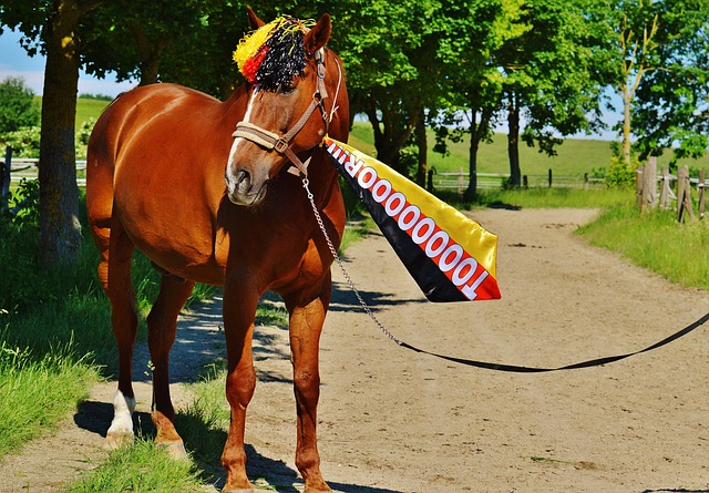 無數勝利與 無數勝利與