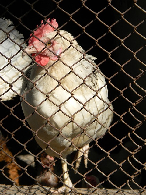 次展示了他 次展示了他