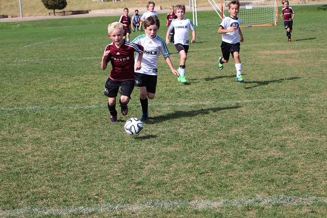 我们可以期 我们可以期