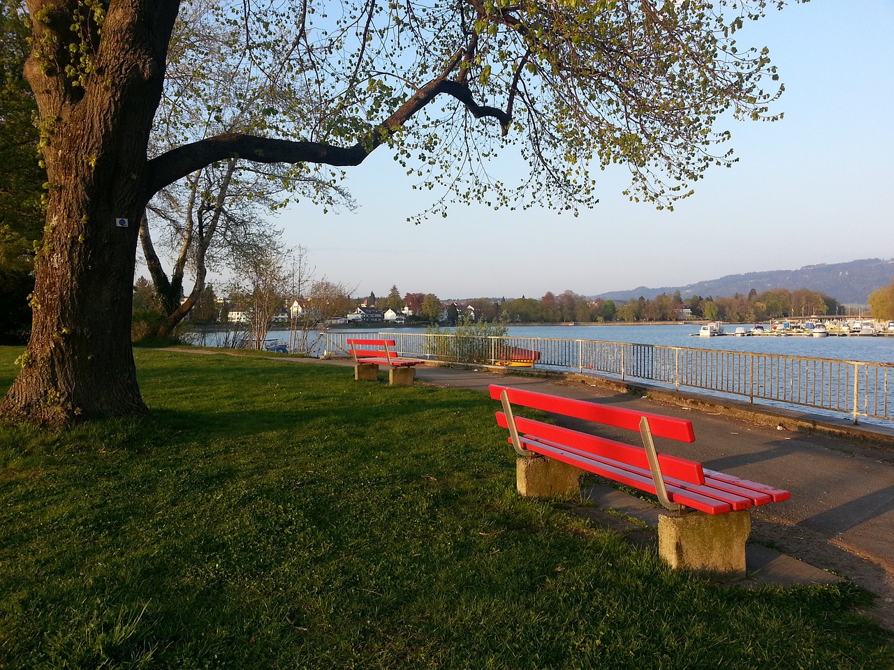 在中国体育 在中国体育